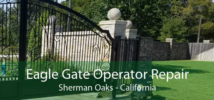 Eagle Gate Operator Repair Sherman Oaks - California